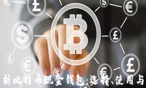 
全面分析比特币现金钱包：选择、使用与安全性
