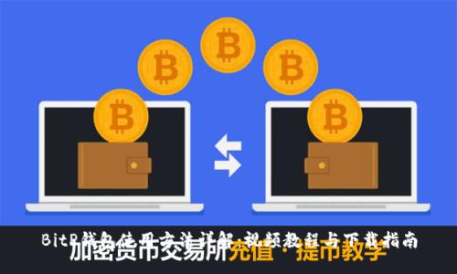 BitP钱包使用方法详解：视频教程与下载指南
