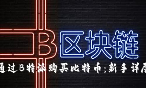 如何通过B特派购买比特币：新手详尽指南