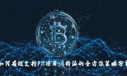 如何有效支持Fil项目：B特派的全方位策略分析