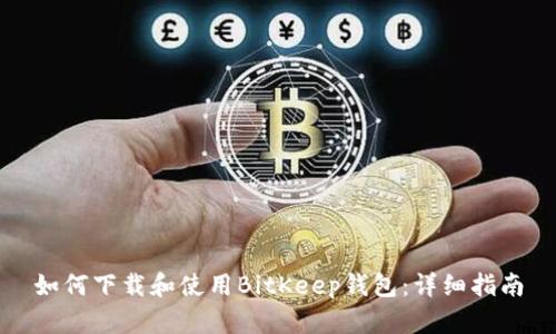 如何下载和使用BitKeep钱包：详细指南