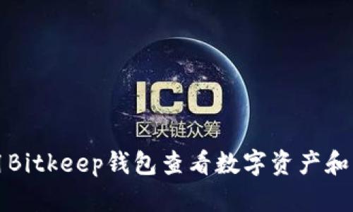如何使用Bitkeep钱包查看数字资产和币种信息