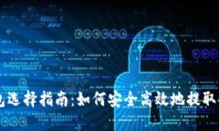 比特币钱包选择指南：如何安全高效地提取你的