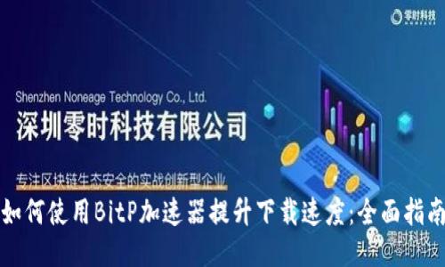 如何使用BitP加速器提升下载速度：全面指南