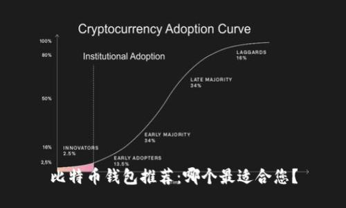 比特币钱包推荐：哪个最适合您？