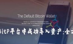 如何在BitP平台中成功导入