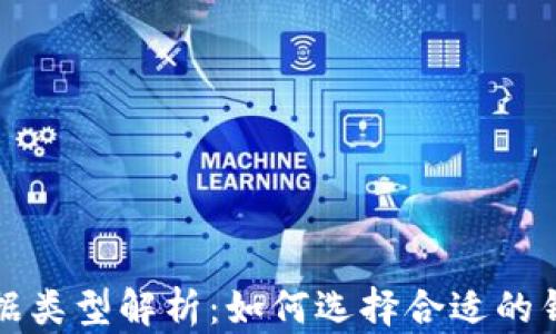 
区块链钱包金额数据类型解析：如何选择合适的钱包以保障资产安全