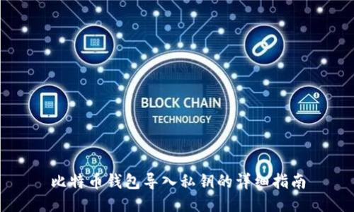 比特币钱包导入私钥的详细指南