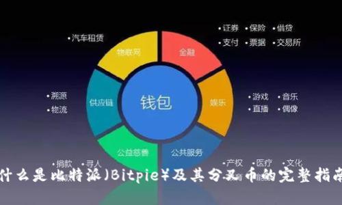 什么是比特派（Bitpie）及其分叉币的完整指南
