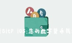 全面解析BitP iOS：您的数字