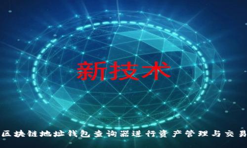 如何使用区块链地址钱包查询器进行资产管理与交易记录查询