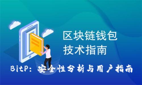 BitP: 安全性分析与用户指南
