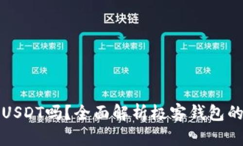 极客钱包支持USDT吗？全面解析极客钱包的数字货币功能