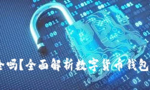 USDT小金库钱包安全吗？全面解析数字货币钱包的安全性与使用方法