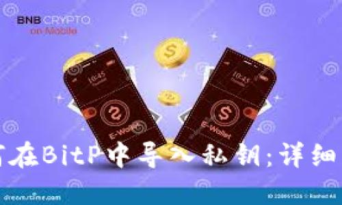 如何在BitP中导入私钥：详细指南