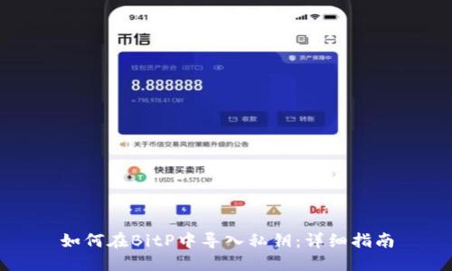 如何在BitP中导入私钥：详细指南