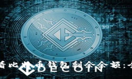 如何查看比特币钱包剩余余额：全面指南
