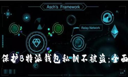 如何保护B特派钱包私钥不被盗：全面指南