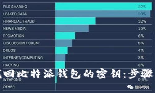 如何找回比特派钱包的密钥：步骤与建议
