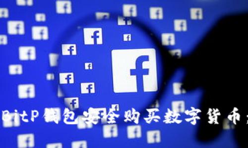 如何使用BitP钱包安全购买数字货币：完整指南