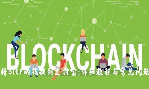 如何将BitP的钱提到支付宝：详细教程与常见问题解答