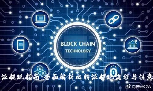 比特派提现指南：全面解析比特派提现流程与注意事项