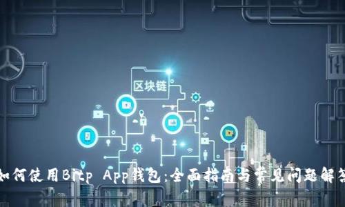 如何使用Bitp App钱包：全面指南与常见问题解答