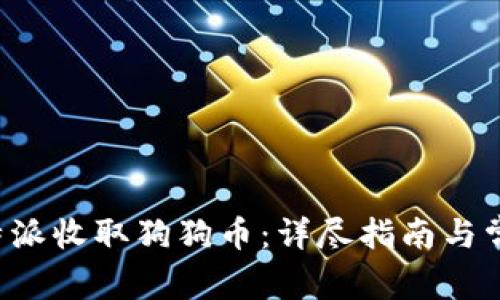 如何通过B特派收取狗狗币：详尽指南与常见问题解答