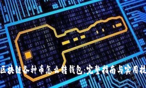 : 区块链各种币怎么转钱包：完整指南与实用技巧