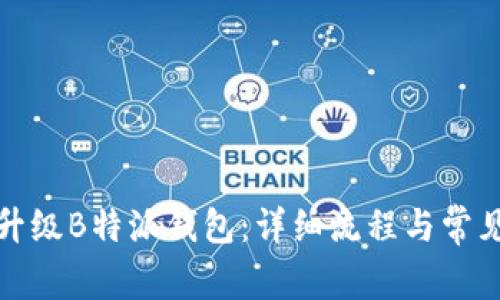 如何顺利升级B特派钱包：详细流程与常见问题解答