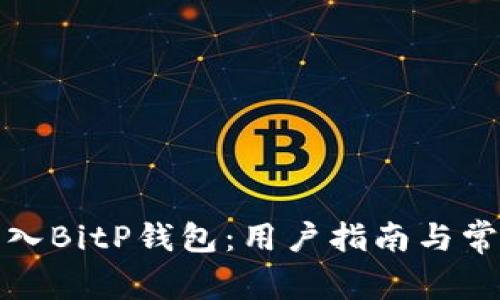 如何安全导入BitP钱包：用户指南与常见问题解答