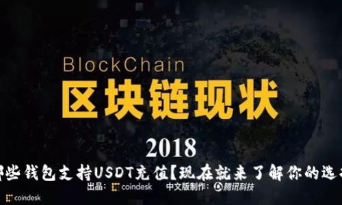 哪些钱包支持USDT充值？现在就来了解你的选择
