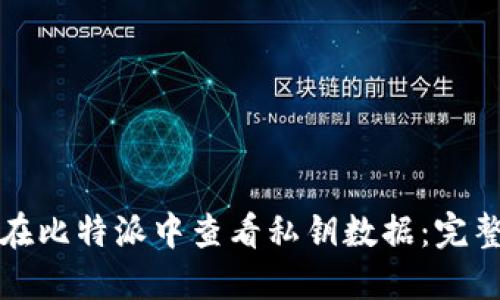 如何在比特派中查看私钥数据：完整指南