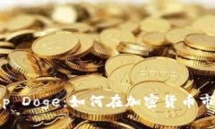 深入分析 Bitp Doge：如何在加密货币市场中获得成