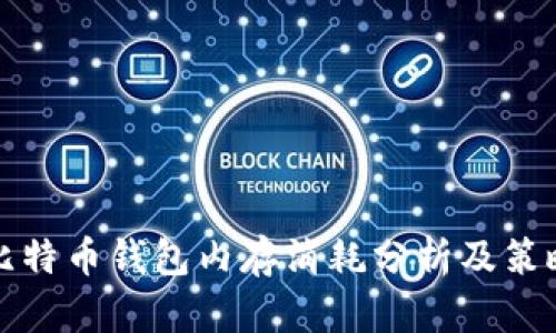 比特币钱包内存消耗分析及策略