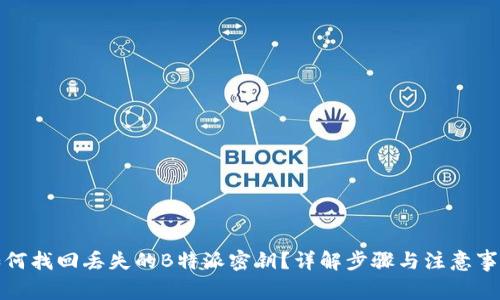 如何找回丢失的B特派密钥？详解步骤与注意事项