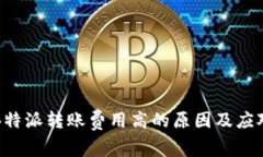 分析B特派转账费用高的原因及应对策略