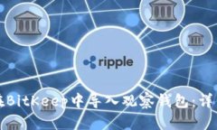 如何在BitKeep中导入观察钱包：详细指南