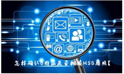 怎样确认B特派是否拥有MSB牌照？