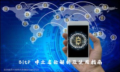BitP 中文名称解析及使用指南