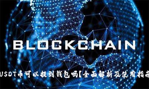 USDT币可以提到钱包吗？全面解析及使用指南