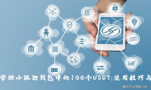 如何有效管理小狐狸钱包中的100个USDT：使用技巧与投资策略