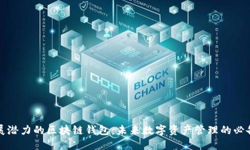 具发展潜力的区块链钱包：未来数字资产管理的必备工具